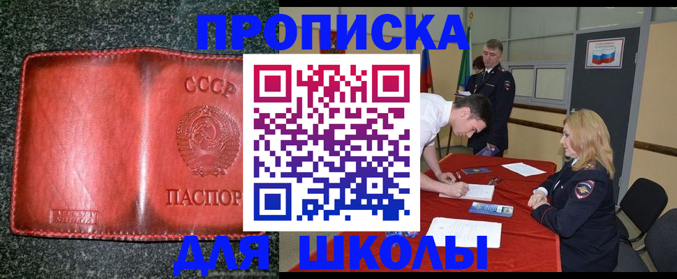 прописка в квартире в Светлогорске